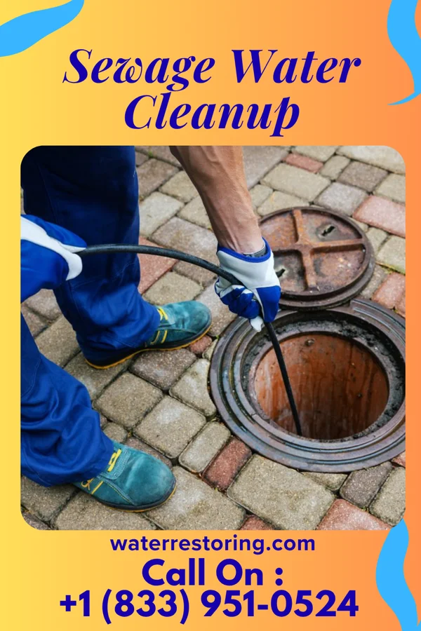 Sewage Water Cleanup in Bowerston, OH