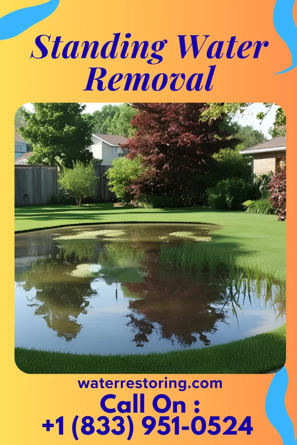 Standing Water Removal in Bowerston, OH